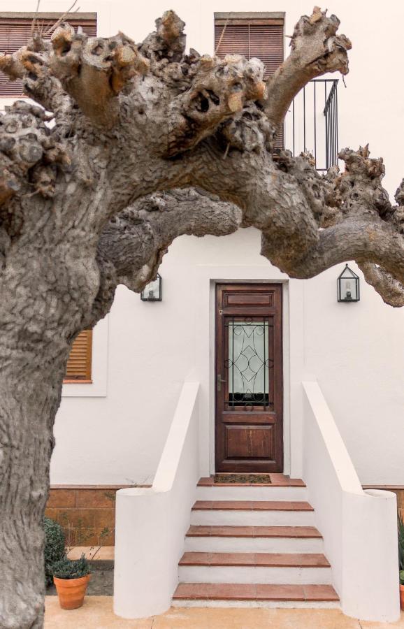Villa Rebesnéts de Bofranch Deltebre Exterior foto